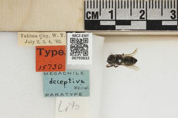 Media type: image;   Entomology 793832 Aspect: Labels